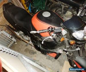 Motorcycle Honda Blackbird CBR1100XX Motorcycle 1998 Carbs Model Street Fighter  for Sale