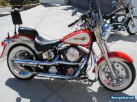 1991 Harley-Davidson Softail