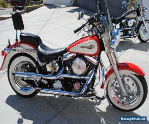 1991 Harley-Davidson Softail for Sale