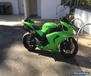 Motorcycle Kawasaki Ninja ZX10R 2006, low kms for Sale