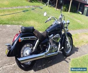 Motorcycle Motorcycle Honda VT750 Shadow for Sale