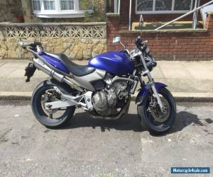 2004 HONDA CB 600 HORNET F-4 Rare matt blue top box lots of quality extras for Sale