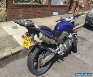 Motorcycle 2004 HONDA CB 600 HORNET F-4 Rare matt blue top box lots of quality extras for Sale