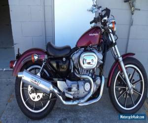 HARLEY DAVIDSON 883 Sportster for Sale