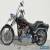 2007 Harley Davidson FXST Softail  CAK87 for Sale