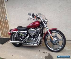 Motorcycle 2005 Harley-Davidson Sportster for Sale