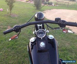 Motorcycle 1996 Harley Davidson Bad boy Springer Softail Customised FXSTSB for Sale