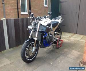 Motorcycle HONDA FIREBLADE STREETFIGHTER for Sale