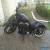 Harley Davidson nightster for Sale