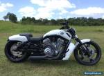 Harley Davidson Vrod, Muscle, Nightrod  for Sale