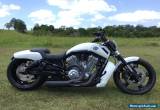 Harley Davidson Vrod, Muscle, Nightrod  for Sale