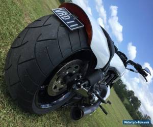 Motorcycle Harley Davidson Vrod, Muscle, Nightrod  for Sale