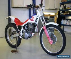 Motorcycle HONDA TLM260R 1990 HRC TRIALS BIKE AIR COOLED MONO  for Sale