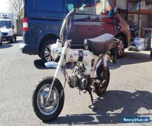 Motorcycle Honda ST70 Lady Dax Pit Bike Monkey Bike - Shed Find for Sale