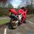 SUZUKI TL1000S 1998 STUNNING RED 26000 MILES BITUBO HARRIS PC2 SCORPION  for Sale