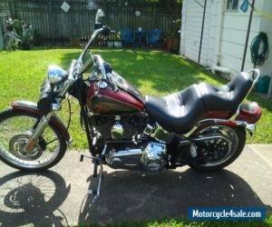 Motorcycle Harley Davidson Softail Custom 2007. Must Sell. for Sale