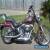 Harley Davidson Softail Custom 2007. Must Sell. for Sale