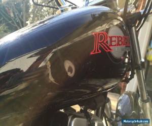 Motorcycle 2000 Honda Rebel for Sale