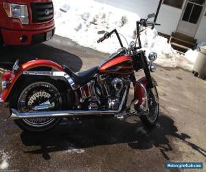 Motorcycle Harley-Davidson: Softail for Sale