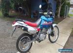 Honda Dominator Nx650 for Sale