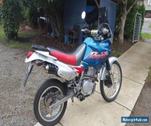 Motorcycle Honda Dominator Nx650 for Sale