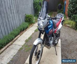 Motorcycle Honda Dominator Nx650 for Sale