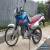 Honda Dominator Nx650 for Sale