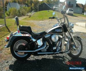 Motorcycle 1989 Harley-Davidson Softail for Sale