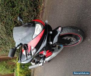 Motorcycle YAMAHA YZF600 THUNDERCAT- T reg- 600cc- Black/Red -lovely condition -extras etc. for Sale