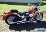 harley davidison fatboy FLSTF for Sale