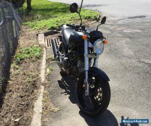 Motorcycle 1999 Ducati Monster for Sale