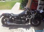 Triumph Thunderbird Storm for Sale