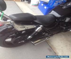 Motorcycle Triumph Thunderbird Storm for Sale