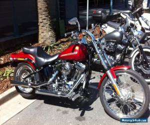Motorcycle 2013 softail standard for Sale