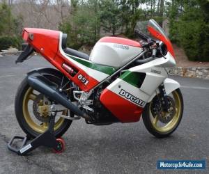 Motorcycle 1988 Ducati Superbike for Sale