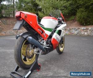 Motorcycle 1988 Ducati Superbike for Sale