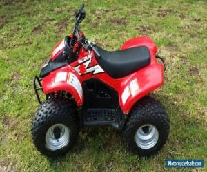 suzuki childrens quad bikes