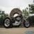 2005 Harley-Davidson XL1200 Custom Sportster Trike for Sale