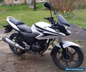 Motorcycle Honda CBF125 White & Black 2011 with 2014 Engine Low Mileage TNT for Sale