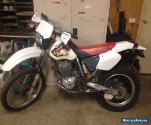 Motorcycle HONDA XR 400 1999 RUNS VERY WELL ROADWORTHY 600 350 650 250 XL TT DRZ VINDURO for Sale