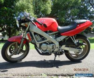 1991 Honda Spada (VT250) In Excellent Original Condition. LAMS Learner Legal.  for Sale