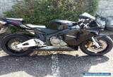 Immaculate low mileage black Honda CBR 600 RR for Sale