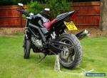 Suzuki SV650 K8 2008 Naked Black for Sale