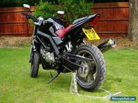 Suzuki SV650 K8 2008 Naked Black