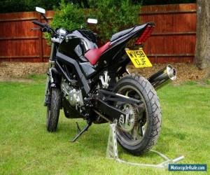 Motorcycle Suzuki SV650 K8 2008 Naked Black for Sale