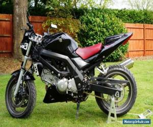 Motorcycle Suzuki SV650 K8 2008 Naked Black for Sale