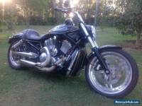 Harley Davidson V Rod 2004