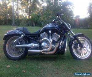 Motorcycle Harley Davidson V Rod 2004 for Sale