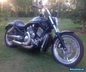 Motorcycle Harley Davidson V Rod 2004 for Sale