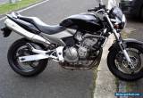 honda cb600f hornet for Sale